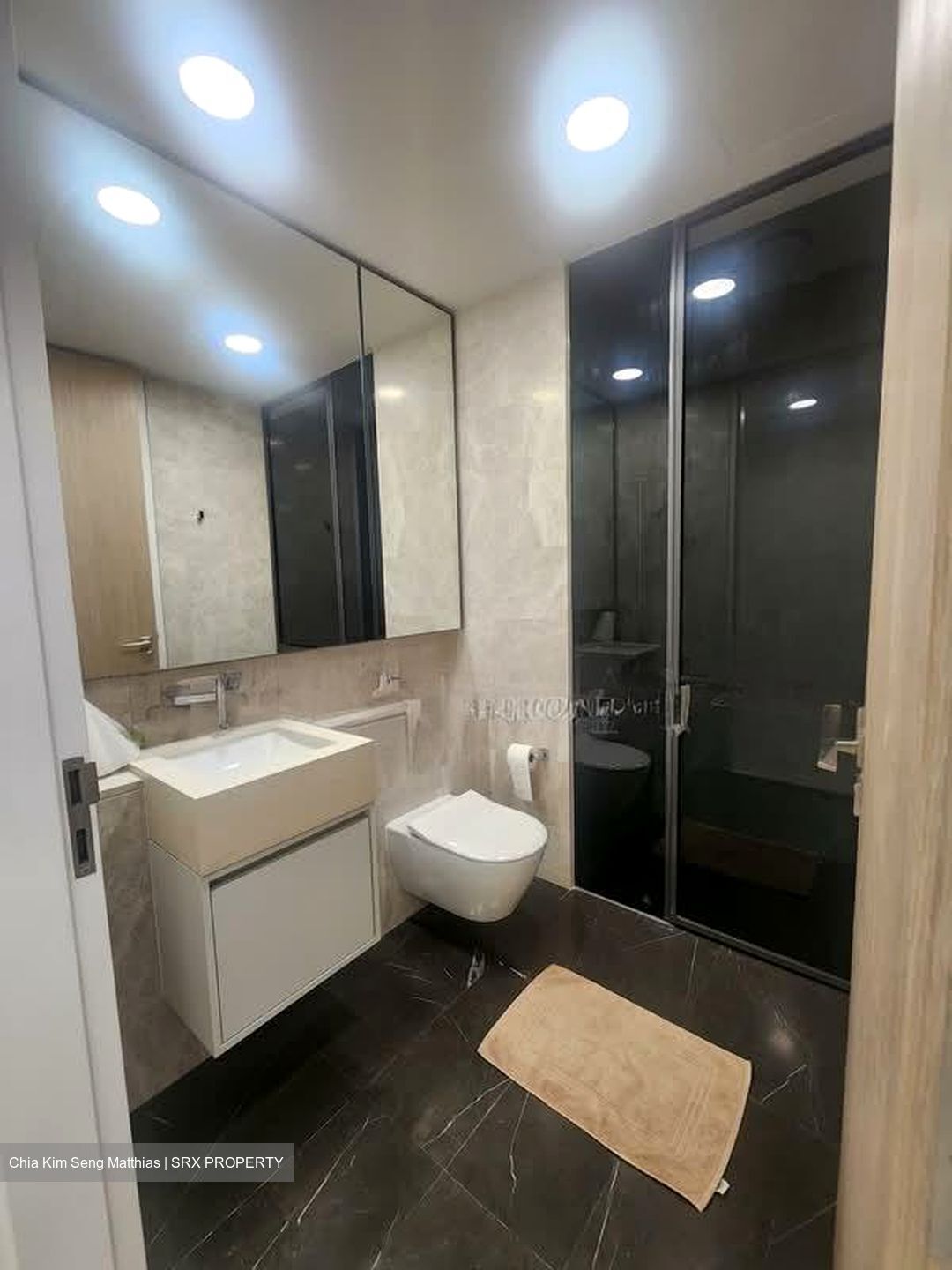 Amber Park (D15), Condominium #534847071
